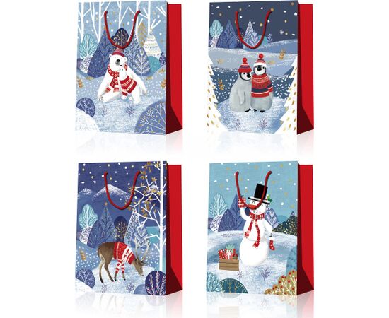 Gift bag POLAR M, 26x32x12cm, mix Подарочные пакеты