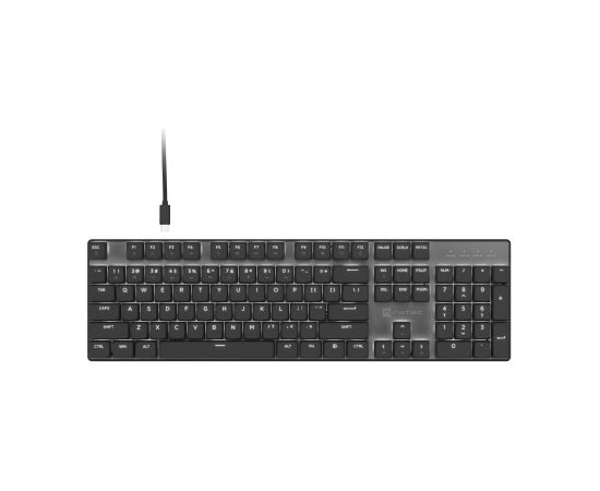 Natec Amberjack Keyboard Wired US Linear White backlight, Hot-swappable switches, Anti-ghosting, Built-in memory, Macro recording Black/Gray Klaviatūras