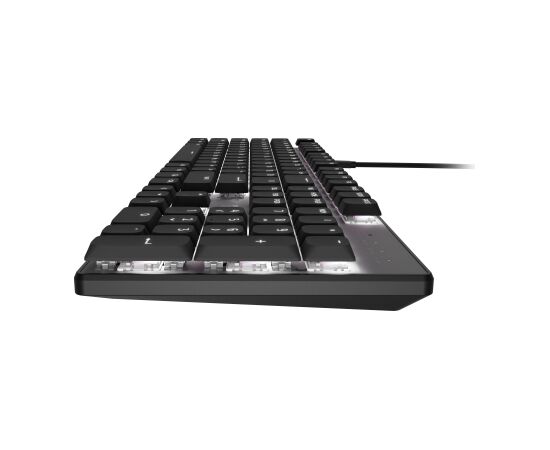 Natec Amberjack Keyboard Wired US Linear White backlight, Hot-swappable switches, Anti-ghosting, Built-in memory, Macro recording Black/Gray Klaviatūras