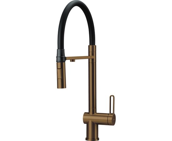 Deante Kitchen faucet with filter and flexible spout Для кухни