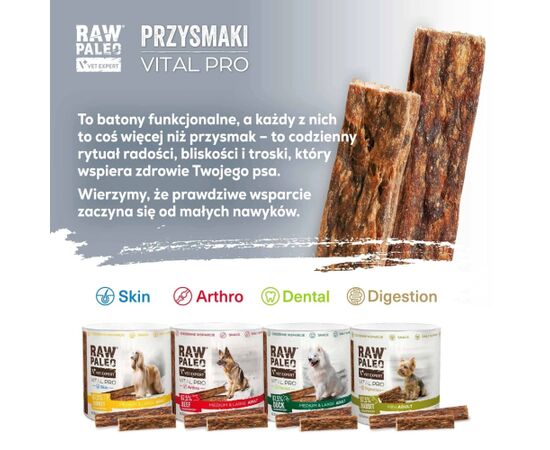 VetExpert Raw Paleo Vital Pro digestion rabbit mini 100g Suņu barība