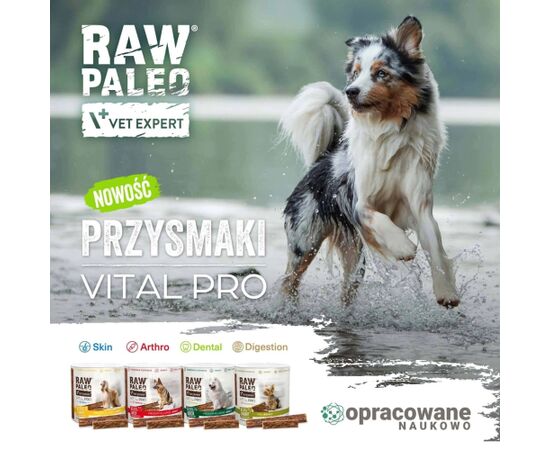 VetExpert Raw Paleo Vital Pro digestion rabbit mini 100g Suņu barība