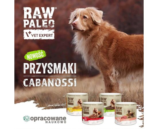 VetExpert Raw Paleo Cabanossi beef mini 100g Suņu barība