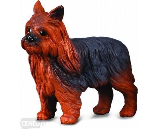 Figurka Collecta Pies Yorkshire Terier Фигурки и герои