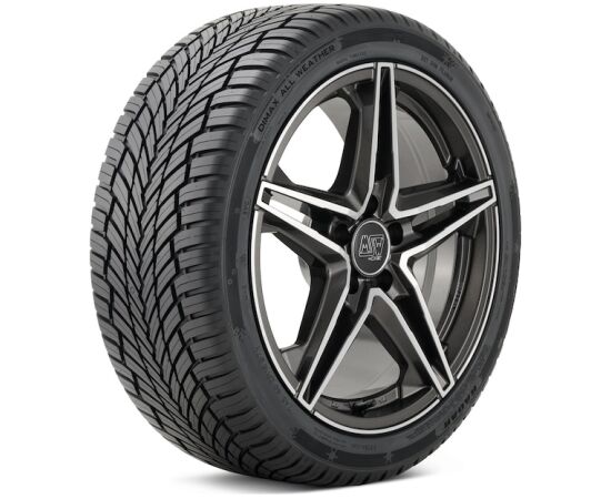 Radar Dimax All Season 255/50R19 107Y Vissezonas riepas