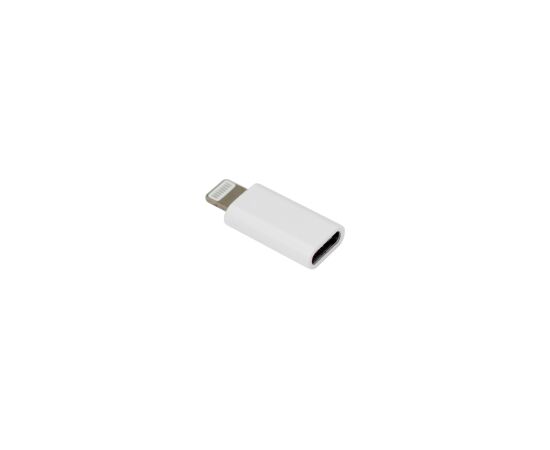 Sbox AD.IPH-TYPEC/R Adapter IPH/8 M. -> TYPE-C F. Adapteri