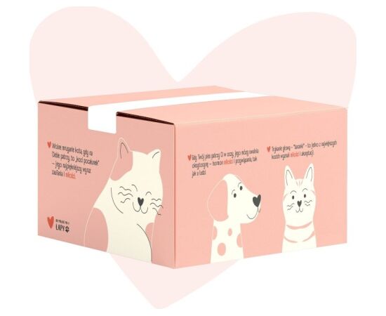 ANIMAL ISLAND Love Box Filety w rosole mix smaków 48szt + zabawka Barība