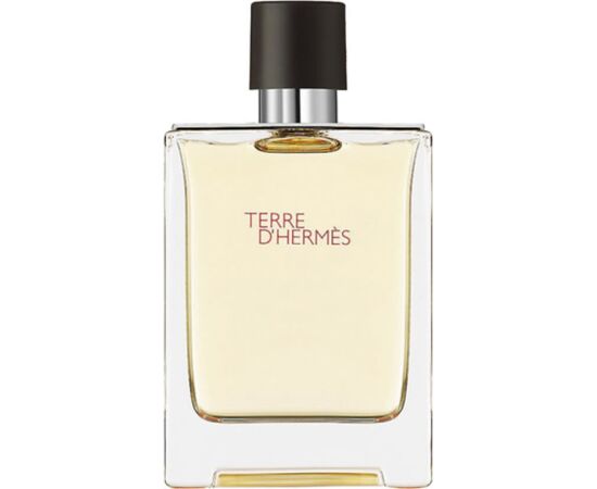 Hermes, Terre d'Hermes, Eau De Toilette, For Men, 100 ml *Tester Духи и косметика