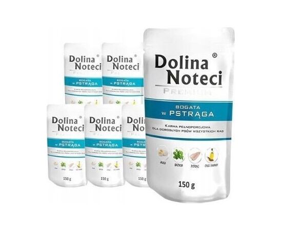 Dolina Noteci Premium z pstrągiem 10x500g Uzkodas sunim