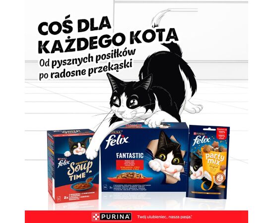 PURINA FELIX AGAIL GiJ MV Bf 44x85g Barība