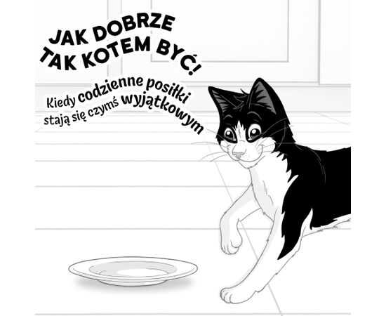 PURINA FELIX AGAIL GiJ MV Bf 44x85g Barība