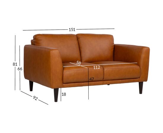 Sofa HAVANNA 2-seater cognac brown Новинки Для дома и сада 