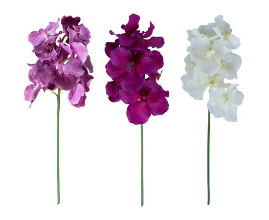 Orchid FLOWERLY H60cm, mix Новости, мебель, дом