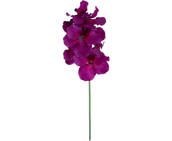 Orchid FLOWERLY H60cm, mix Новости, мебель, дом