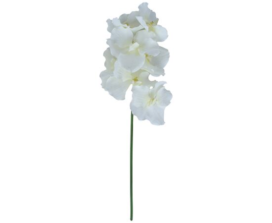 Orchid FLOWERLY H60cm, mix Новости, мебель, дом