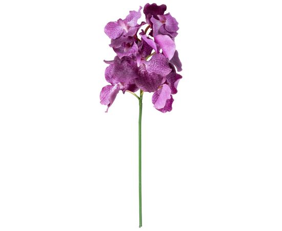 Orchid FLOWERLY H60cm, mix Новости, мебель, дом