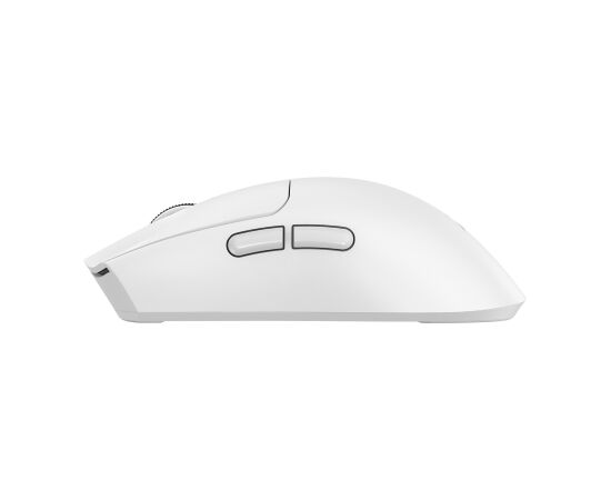 Baracuda BGM-132 MORAY White Мыши