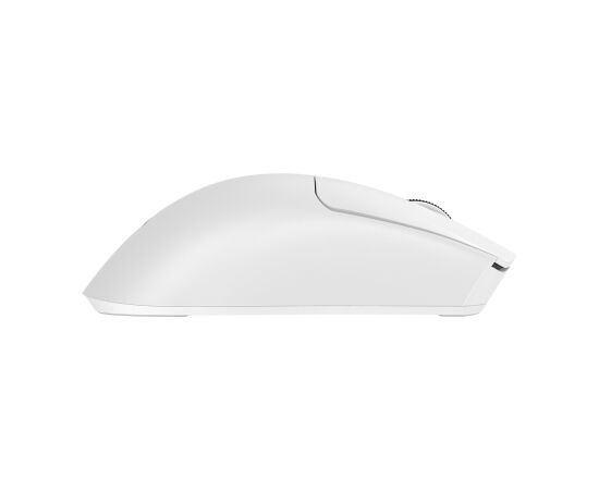 Baracuda BGM-132 MORAY White Мыши