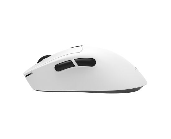 White Shark TOR WGM-5024, White Peles, ievadierīces