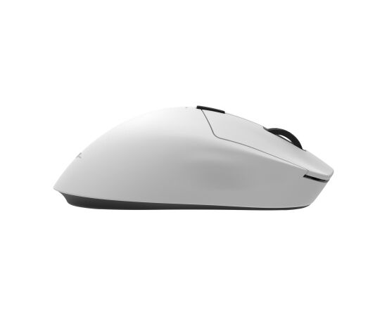White Shark TOR WGM-5024, White Peles, ievadierīces