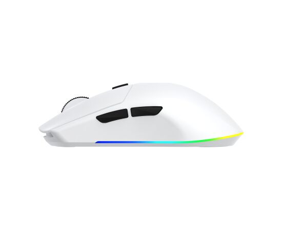 White Shark CADOR WGM-5020, White Peles, ievadierīces