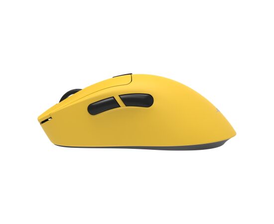 White Shark TOR WGM-5024, Yellow Peles, ievadierīces