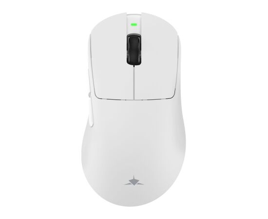 White Shark CAMILLUS WGM-9013, White Peles, ievadierīces