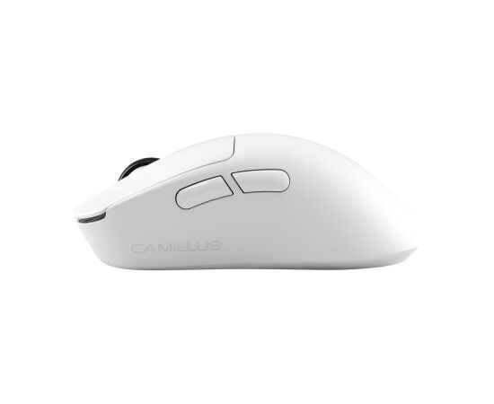 White Shark CAMILLUS WGM-9013, White Peles, ievadierīces