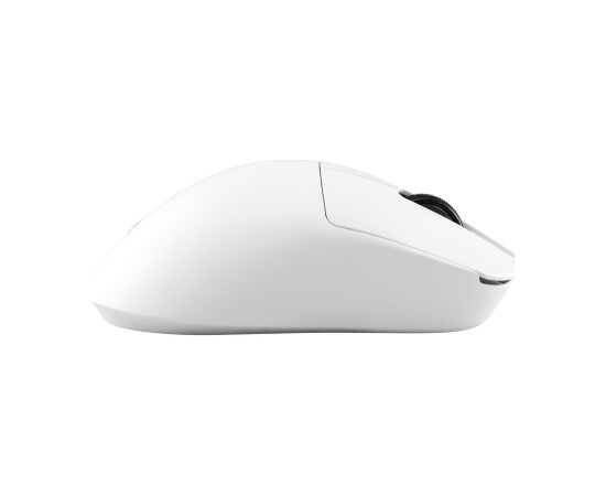 White Shark CAMILLUS WGM-9013, White Peles, ievadierīces