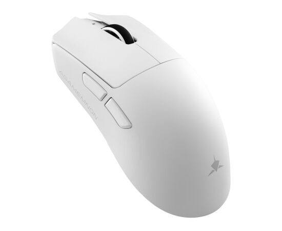 White Shark AGAMEMNON WGM-9012, White Peles, ievadierīces