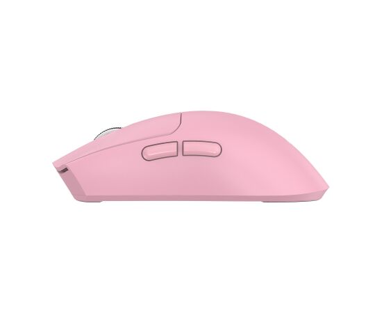 Baracuda BGM-133 MORAY Pink Peles, ievadierīces