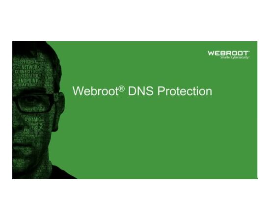 Webroot DNS Protection with GSM Console 2 year(s) License quantity 10-99 user(s) Программное обеспечение