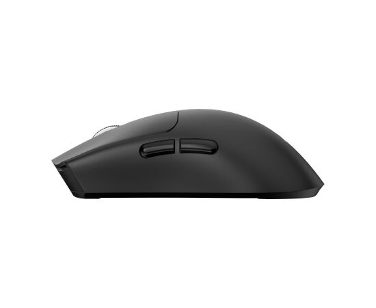 Baracuda BGM-131 MORAY Black Peles, ievadierīces