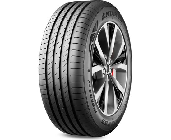 Antares Ingens ev 205/55R17 91V Vasaras riepas