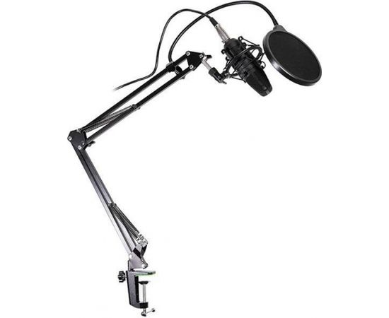 Condenser Microphone with pop filter TRACER Studio Pro