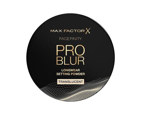 Max Factor Facefinity Pro Blur Longwear Setting Powder - Transparentní pudr Translucent Dekoratīvā kosmētika