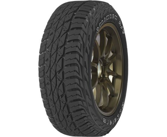 Accelera Omikron A/T 285/70R17 121/118R Летние Покрышки