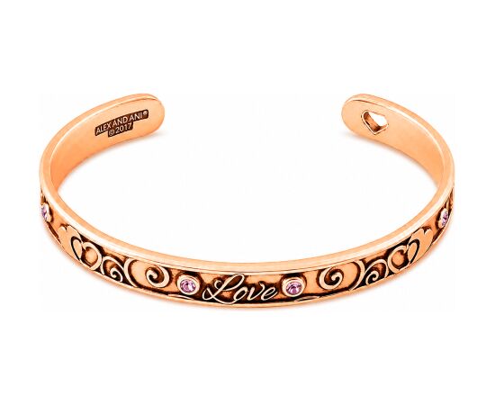 BRACELET ALEX AND ANI WOMEN A17CF01ROG (20CM ) Bižutērija