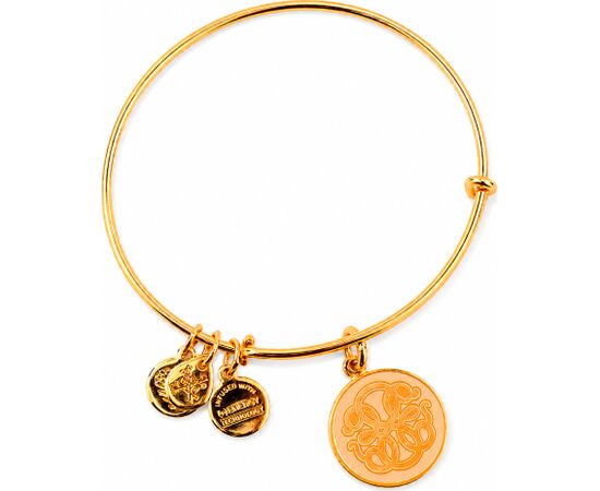 BRACELET ALEX AND ANI WOMEN A16EBPOLYG (20CM ) Bižutērija