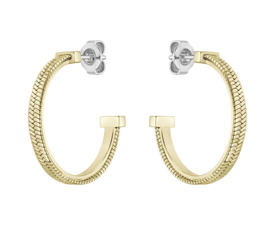 EARRINGS BOSS WOMEN 1580483 (2,5CM ) Bižutērija