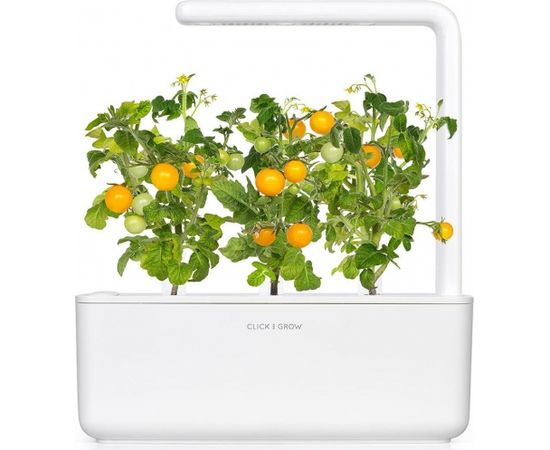 Click & Grow Smart Garden uzpilde Dzeltenie mini tomāti 3gb.