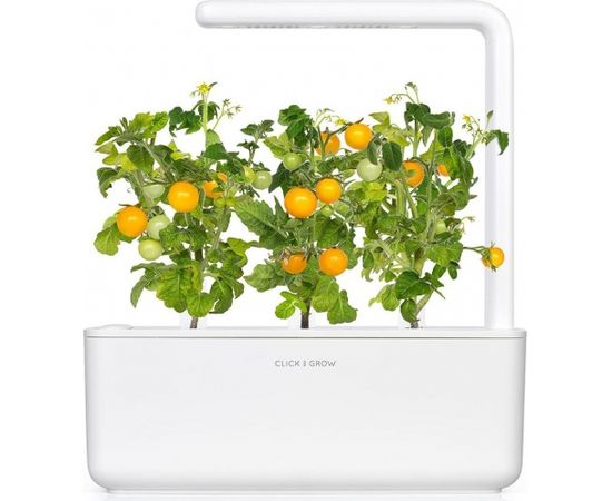 Click & Grow Smart Garden refill Yellow Mini Tomato 3 шт