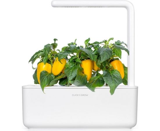 Click & Grow gudrā augu dārza uzpilde Dzeltenā saldā paprika 3gb.