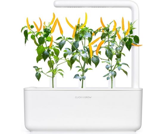 Click & Grow Smart Garden refill Yellow Chili 3pcs