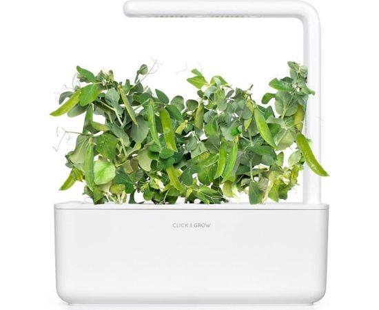 Click & Grow Smart Garden uzpilde Zirņi 3gb.