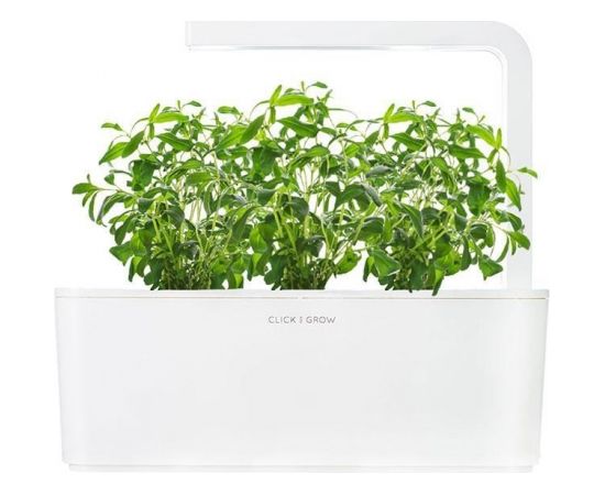 Click & Grow Smart Garden uzpilde Izops 3gb.