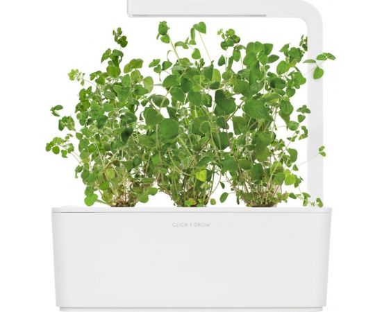 Click & Grow Smart Garden uzpilde Majorāns 3gb.