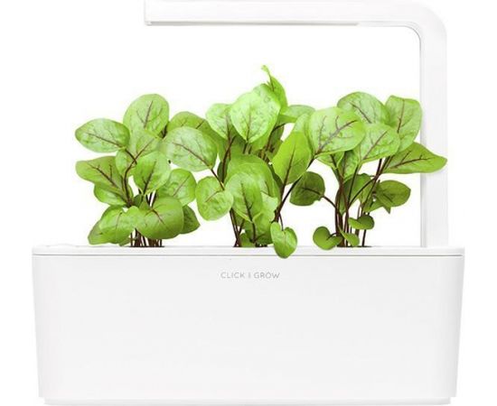 Click & Grow Smart Garden uzpilde Skābenes 3pcs