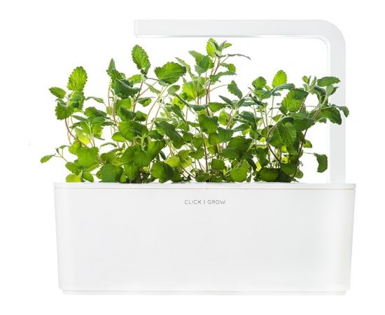 Click & Grow Smart Garden uzpilde Kaķumētra 3gb.