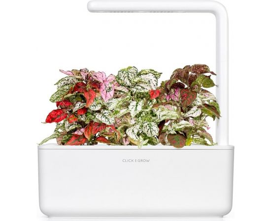 Click & Grow Smart Garden uzpilde Hipoeste 3gb.